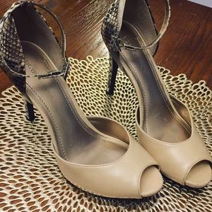 ••BCBGeneration•• Tan & Snake Print Heels